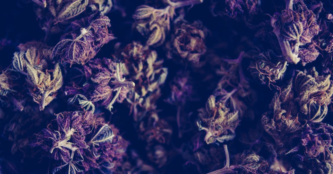 Understanding The Functions Of Cannabis